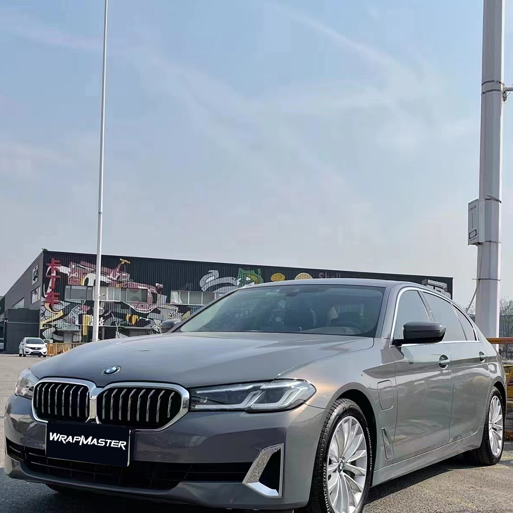 PET Backing Paint Protection S - огляд і ціна Metallic Spray Paint