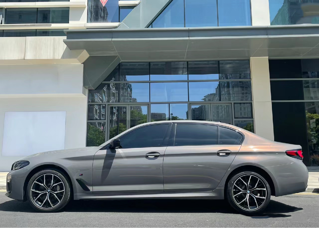 PET Backing Paint Protection S - огляд і ціна Metallic Spray Paint