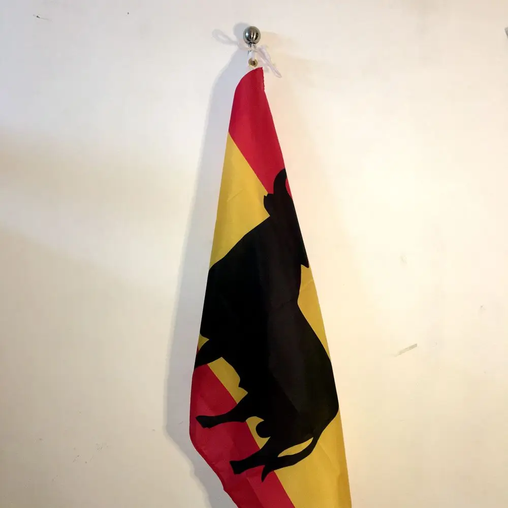 Spain Bull Flag For Sport Part - огляд і ціна Fallout Cosplay Prop